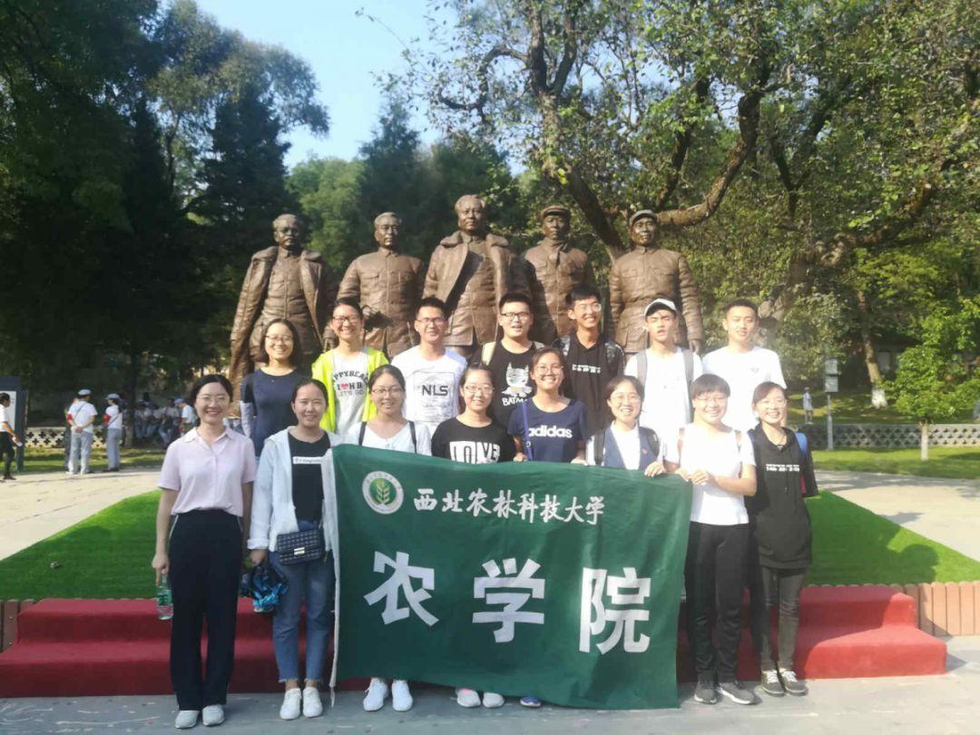 石家庄东站到北京站的火车时刻表？